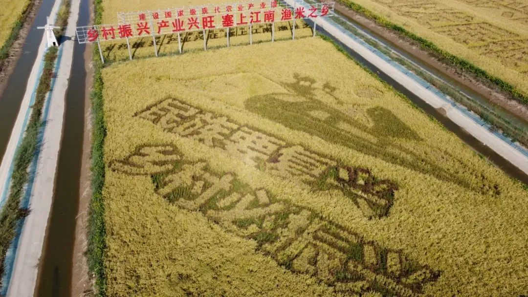 2022年中央一号文件发布6.jpg